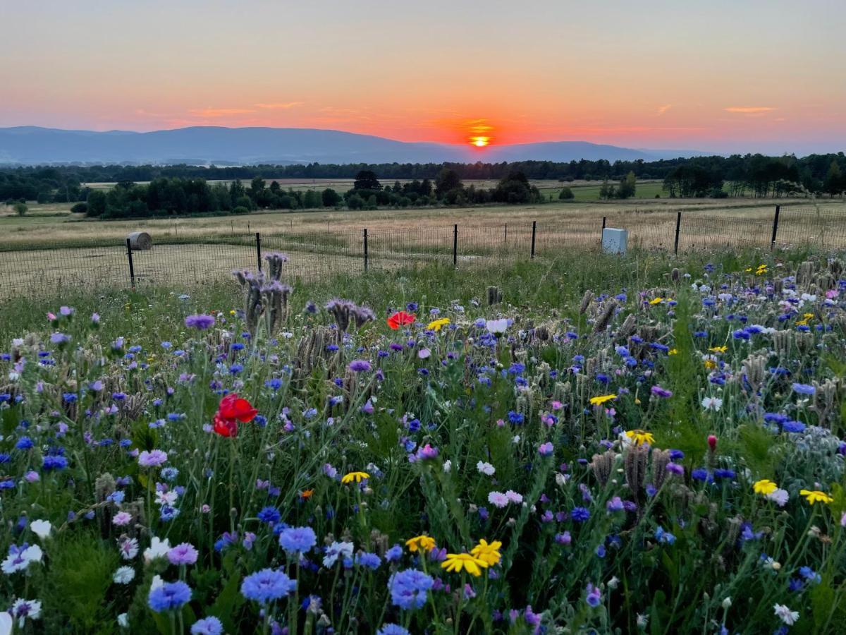 Samsara Kolo Miedzygorza Z Sauna I Klimatyzacja