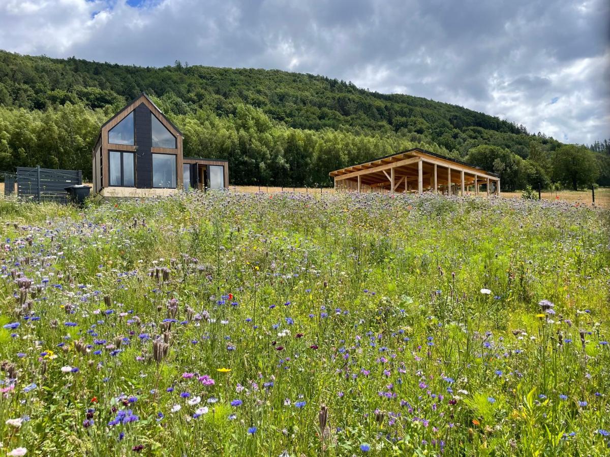 Holiday home Samsara Kolo Miedzygorza Z Sauna I Klimatyzacja